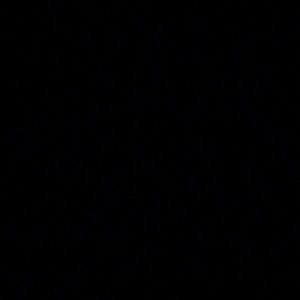 Meet your Posher, Levi